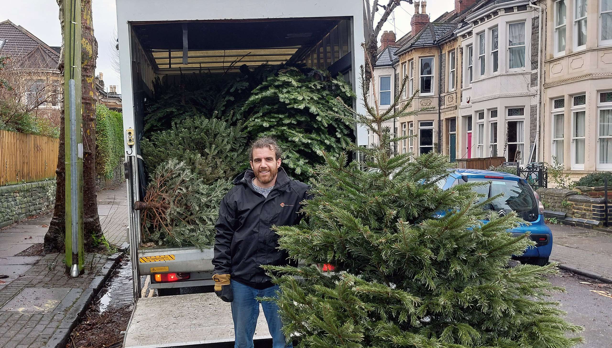 Painless Removals team collecting Christmas trees for St. Peter's Hospice fundraising campaign